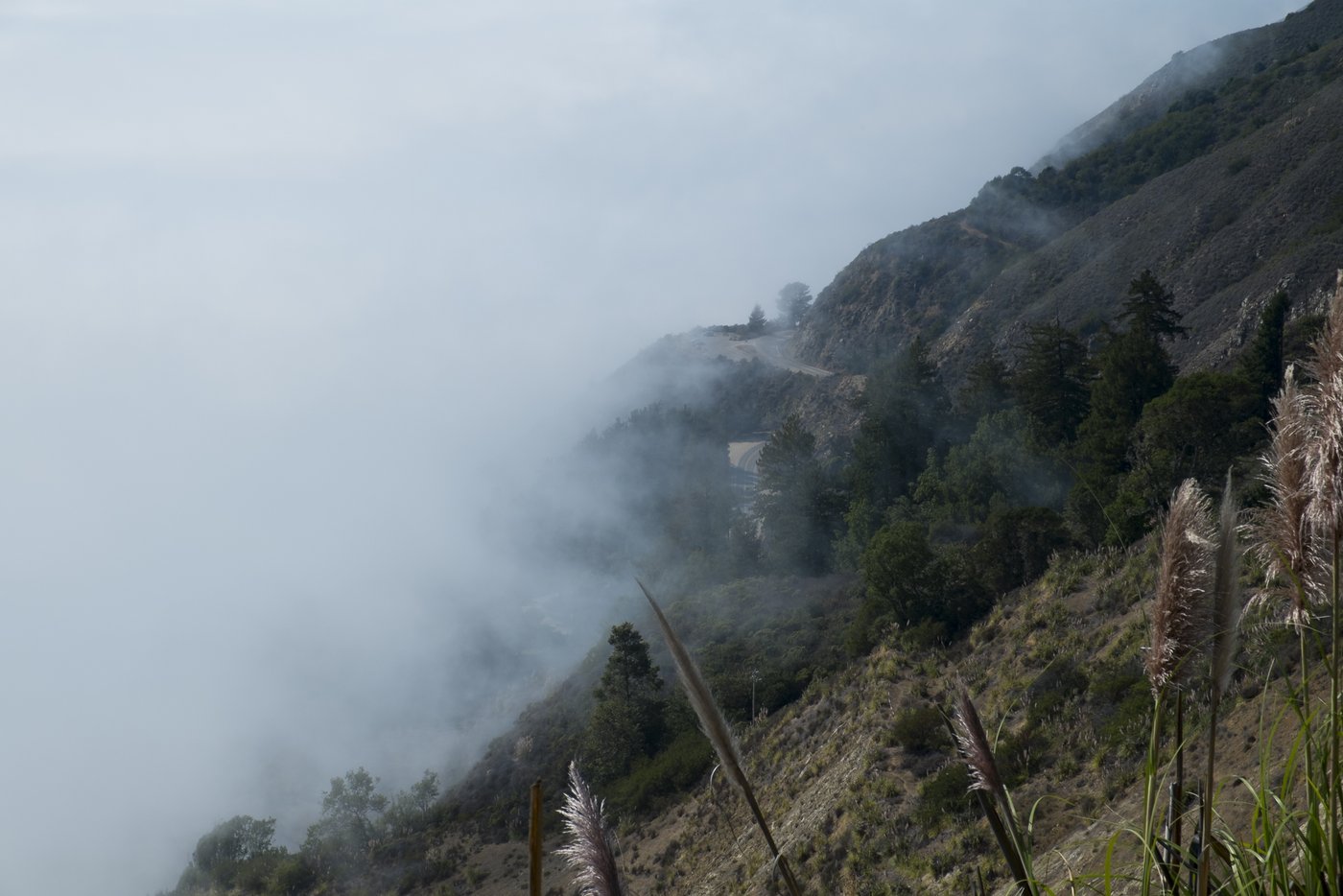 Just where the fog ends, you can see the road we drove.