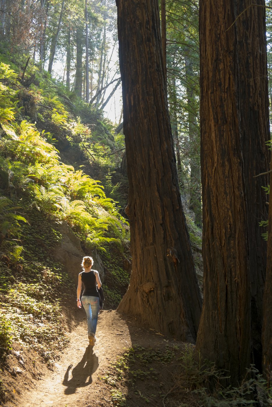 Big Sur is big.