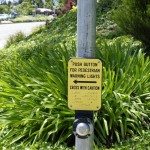 Pedestrian Caution